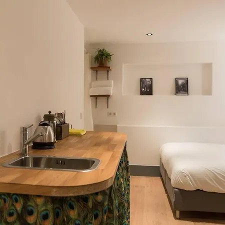 Saint Claire 3 * Amsterdam